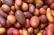 Varieties of potato