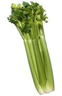 Bunch of celery