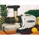Fantastic Omega Gear Or Masticating Juicer surrounded with fruit.